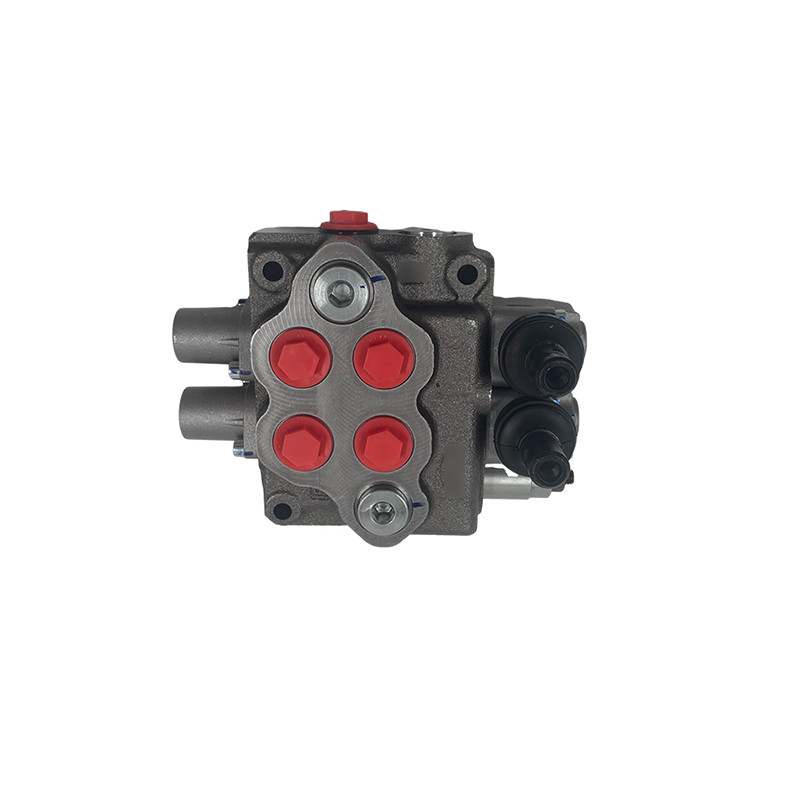 Cast Iron SD5/2-P KG-160 Hydraulic Monoblock Valve for Wolfo Maximum Flow Rate 45L/min